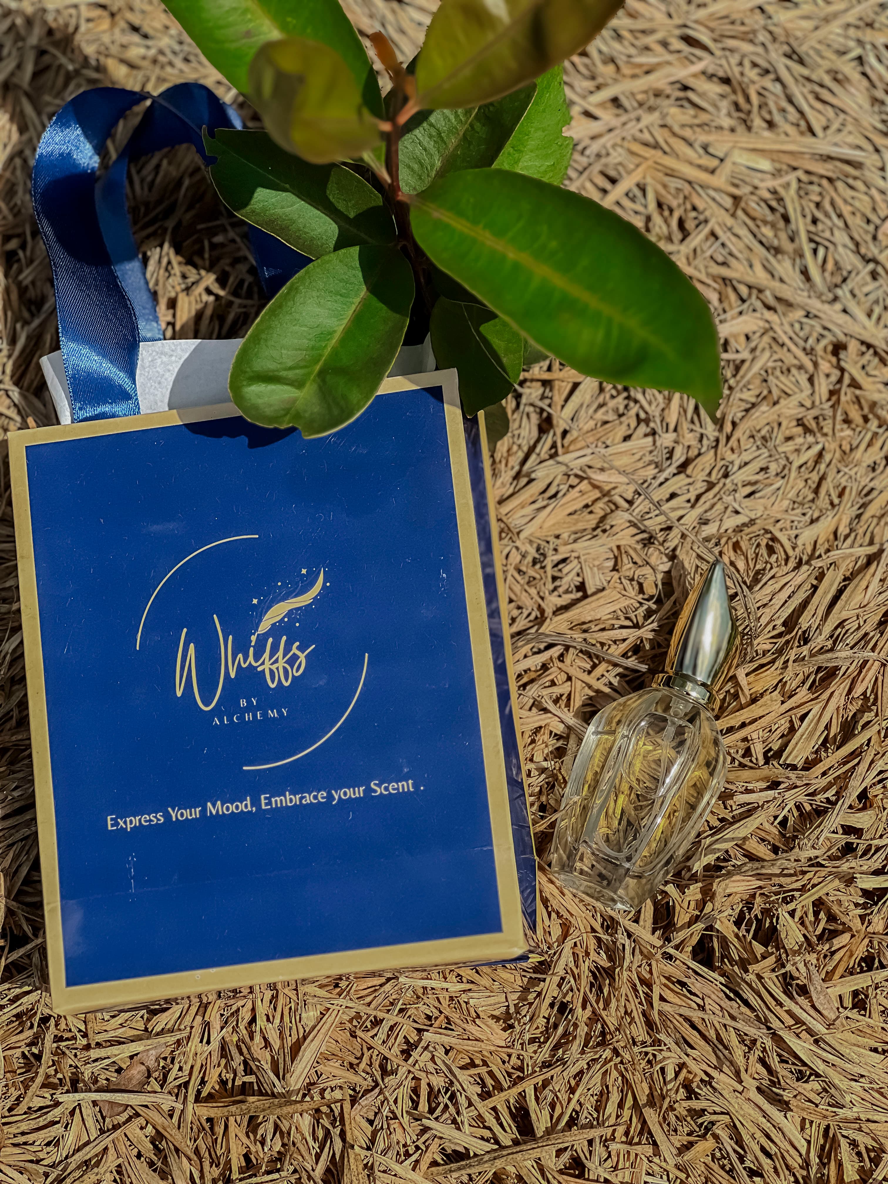 Whiffs by Alchemy: A Scent That Connects You With Nature